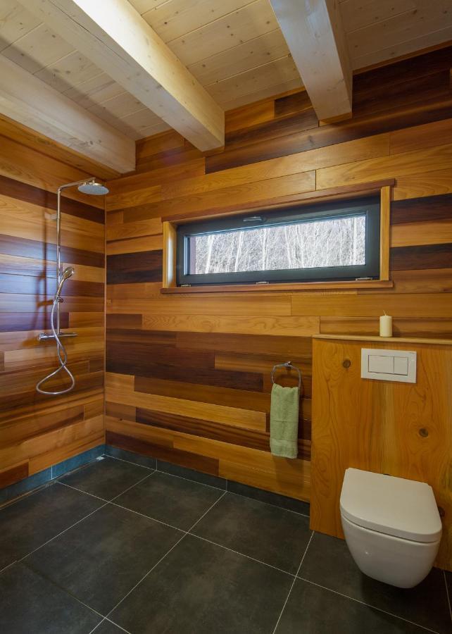 Apartman Nezichov 2 U Polocka Toužim Екстериор снимка